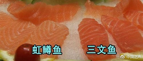 上海消保委：八成消费者认为虹鳟三文鱼是指鹿为马