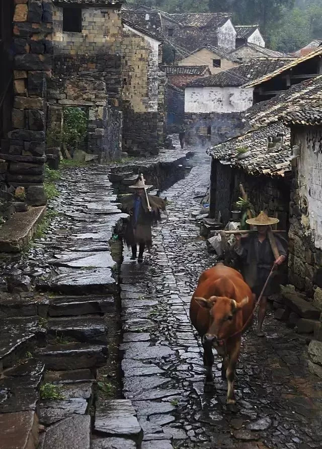 趣旅行 盘龙梯田就在乌石村外,这里不仅是农民耕作的农田,更是绝佳的