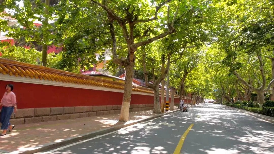 品味文化市南!一则视频带你漫步百年大学路