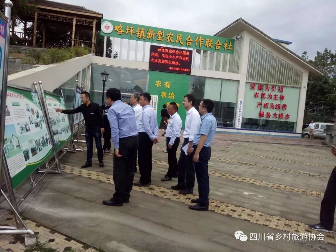 推进新型农民合作组织建设,促进乡村组织振兴