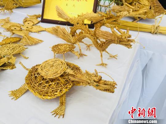 图为王禹编出来的蚂蚱、蛇、孔雀、龙虾、鸡等动物。 周潇男摄 看到一只刚编制好的蚂蚱,一位小朋友忍不住伸手去抓,“感觉就像真的一样”。听到小朋友的话,王禹笑呵呵地说,这正是草编的特点,“好看,有灵气”。 谈起草编,王禹滔滔不绝,多次经历让他备感骄傲。2009年,南宁博物馆收藏了广南村村民集体编织的一条20多米长的草龙和2头草狮;柳州博物收藏了他们制作的一条龙凤草龙。2010在中国-东盟博览会上,让更多的国外客商了解了广南草龙、草狮。 如今,草龙制作技艺已被列