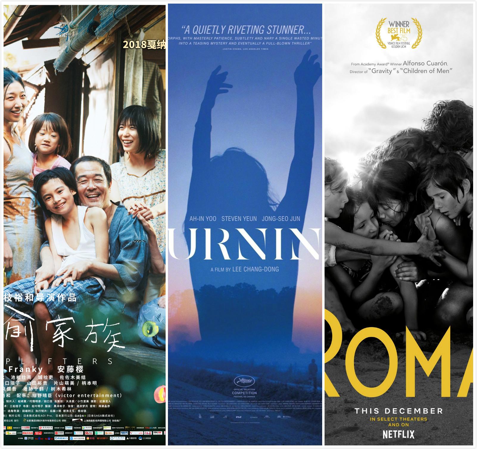 奥斯卡外语片九强出炉，华语片无缘_甘肃频道_凤凰网