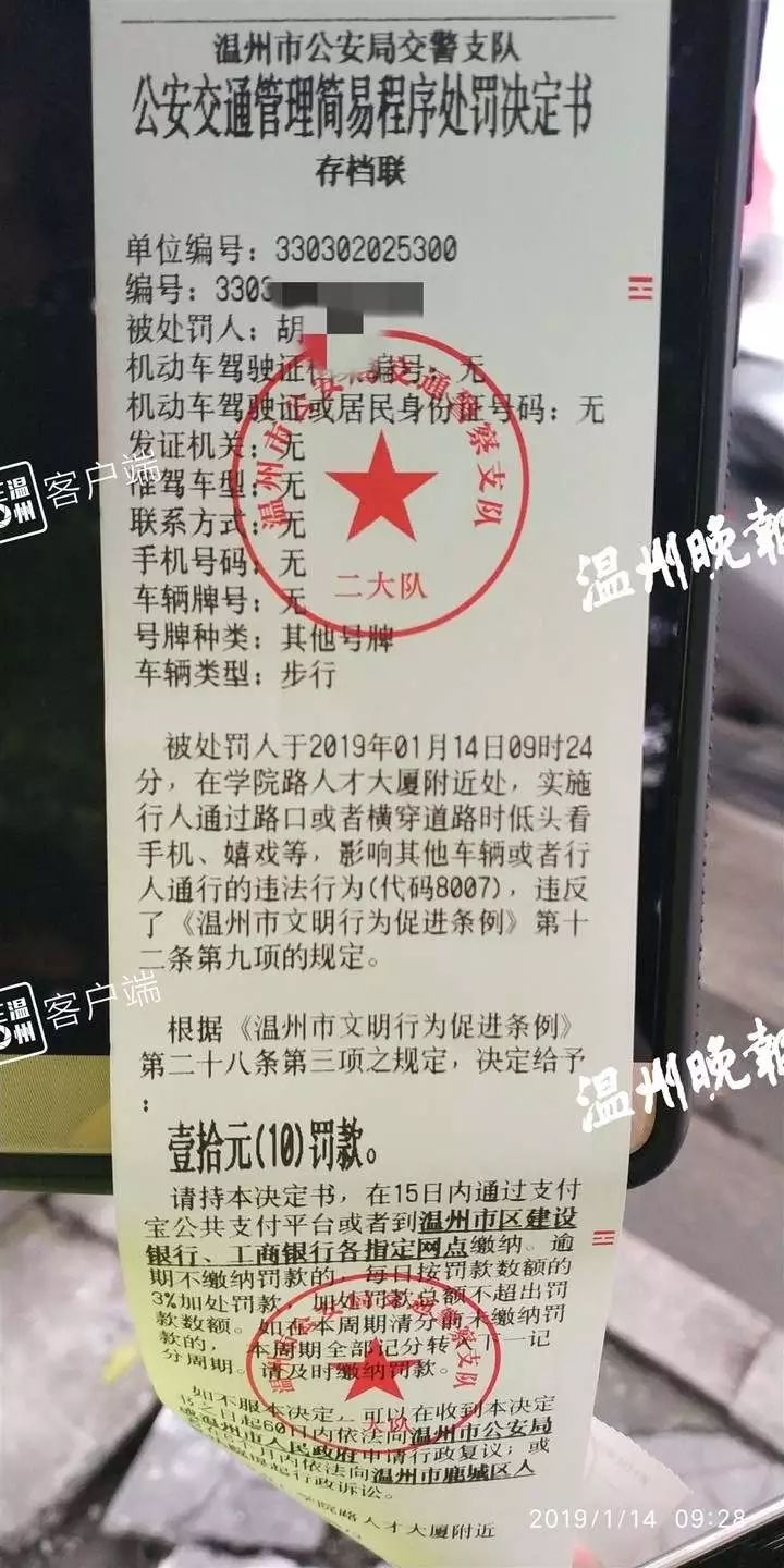 过马路看手机，罚款！新条例实施，首张罚单金额曝光