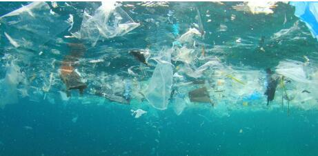 贝提思全球率先将跨学科实践课程引入中国