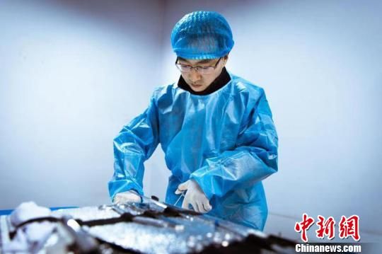 探访法医的神秘生活为生者权替死者言