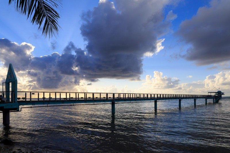 鱼眼海洋公园 开放时间:08:00~17:00 电话:(671)475-7777 地址:818 North Marine Corps Drive Piti, Guam 网址:http://www.fisheyeguam.com/ 美食 Pikas Cafe 在Trip Advisor杜梦湾餐厅里排名第二,是当地吃Brunch的绝佳去处。老板在食材选用上十分用心,不仅新鲜且来源透明,食材供应商的介绍均可以在网上找到,还能预约参观。