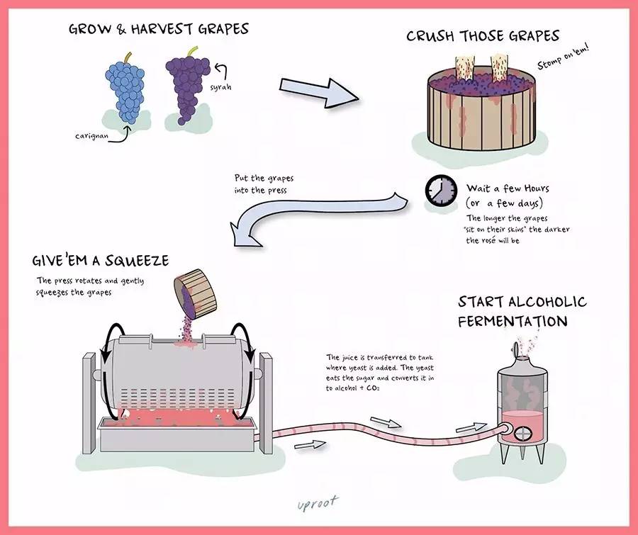 涨姿势红葡萄酒+白葡萄酒≠桃红葡萄酒？桃红葡萄酒白葡萄酒_凤凰酒业