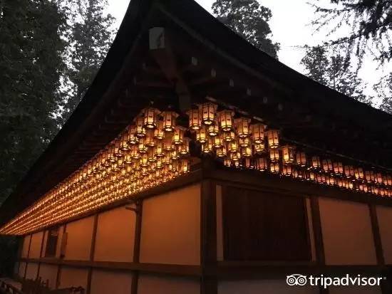 高野山奥之院(和歌山县 )