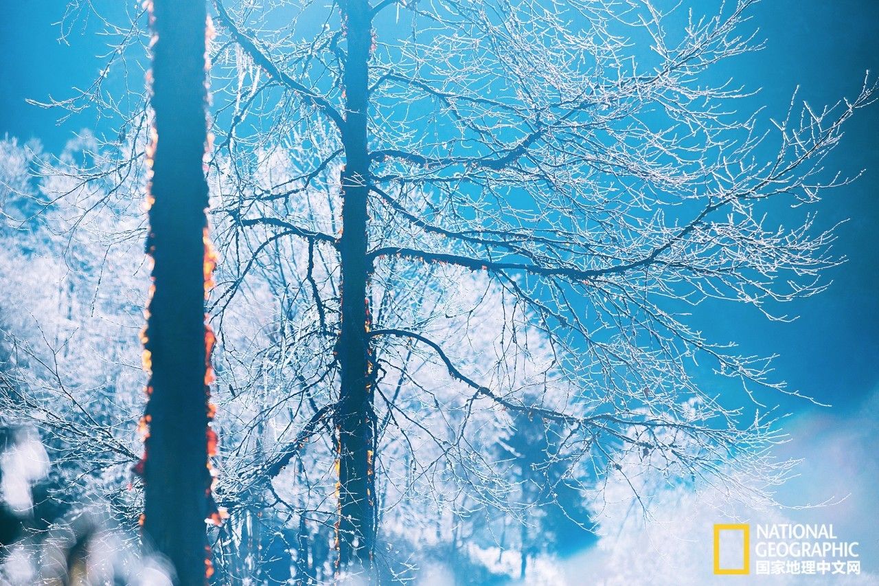 四川的喇叭河:这里雪景美到让人不敢说话!