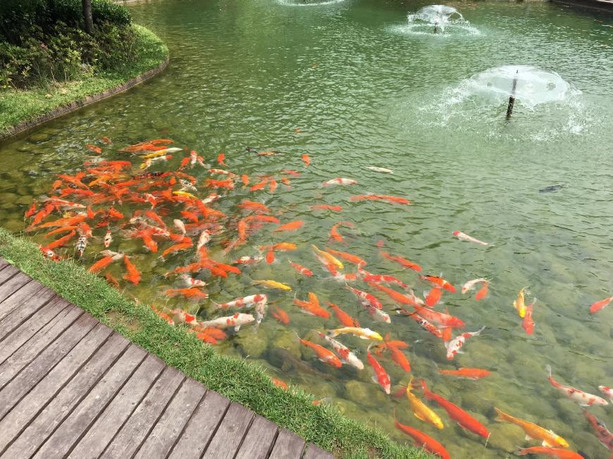 鱼塘土工膜