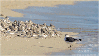 所以, 它花了 皮克斯 3 年时间.