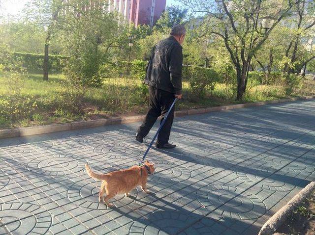  囧图160602:鼻孔大也有鼻孔大的好处，比如…|40图
