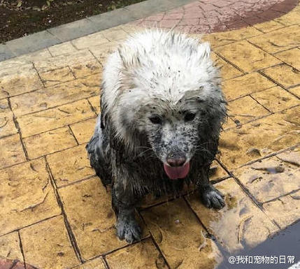  囧图160618:这一刻，你面对了人生中最艰难的抉择|57图