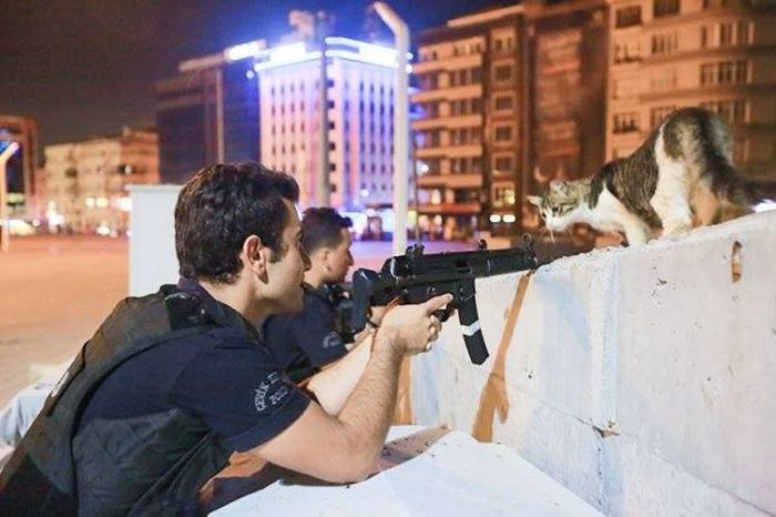  囧图160719:男孩子总是向奇怪的方向进化呢|42图