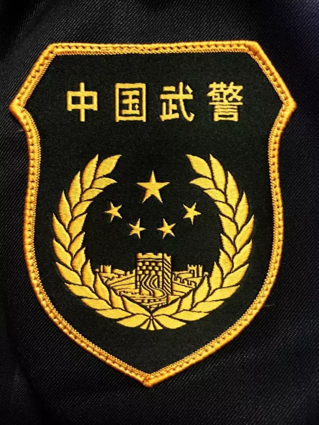 老式武警胸标和臂章。