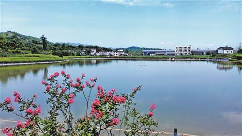 白市驿人口_白市驿图片