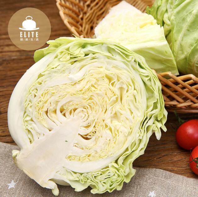 寻根溯源 顶英生活打造有机蔬菜放心平台