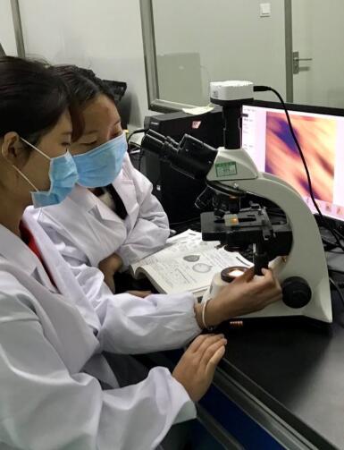 每批产品出厂前,都需通过检测环节