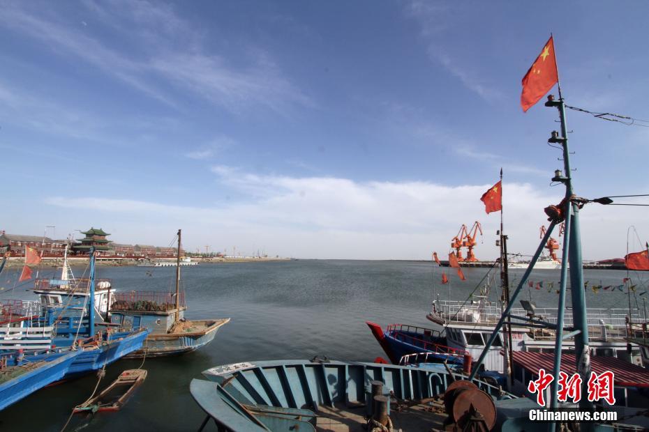 探访天津中心渔港