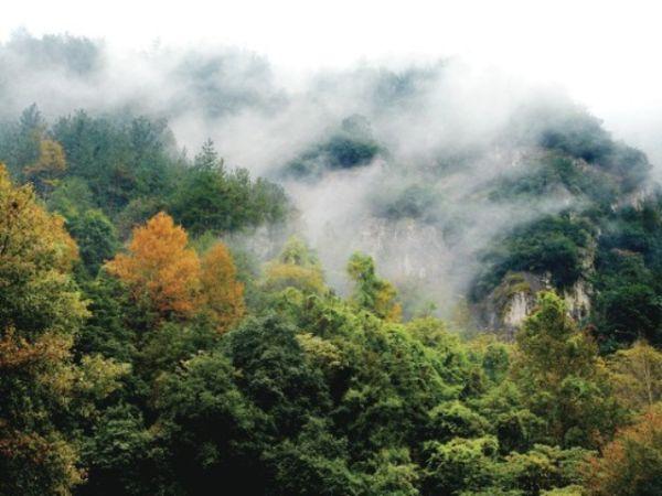 保定又添一个好去处!6000亩漕河森林公园就要