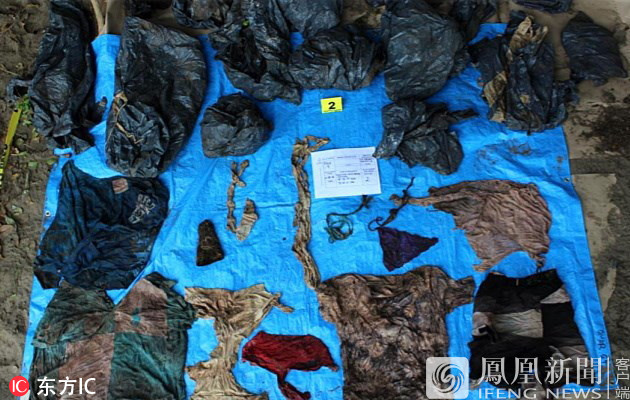 墨西哥韦拉克鲁斯州,当地一处偏远郊外,发现至少166具人体遗骸