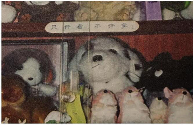 亲自书写签条贴在玩具柜上“只许看,不许拿” 8QwccuYbde22ivdQGsZApAJgotT1d7fwY5oazQAZ.jpg