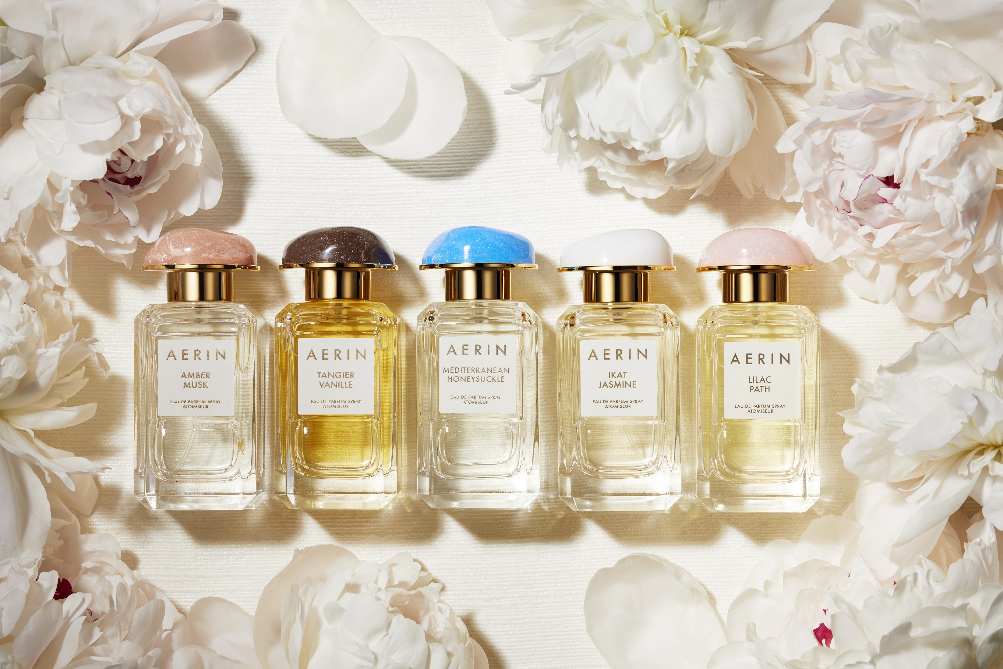 名流齐聚共同庆祝aerinbeauty中国成功上市