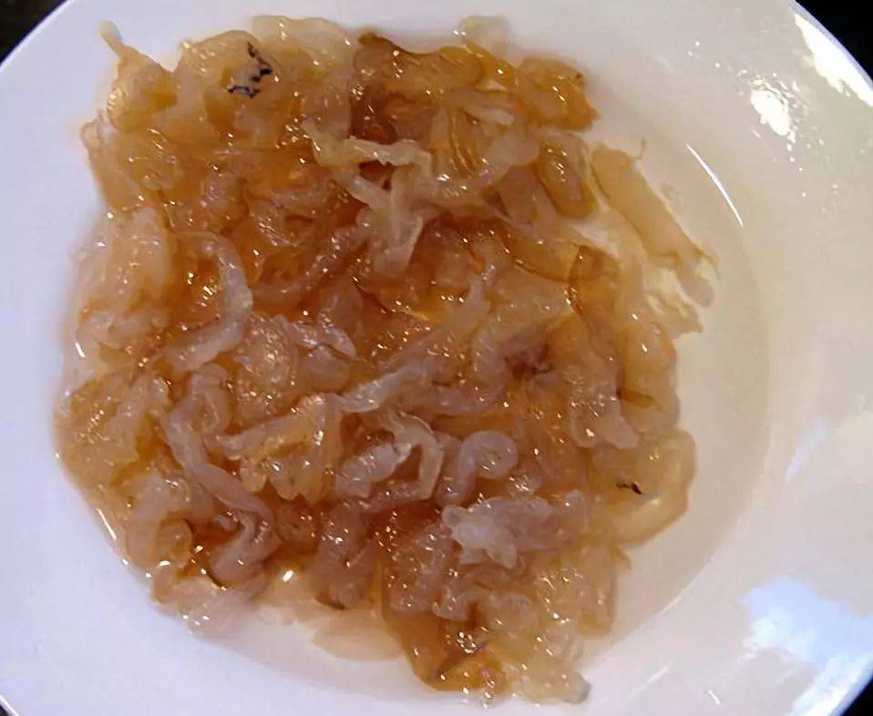 还有一种水母叫立方水母,它才是水母里面最毒的品种