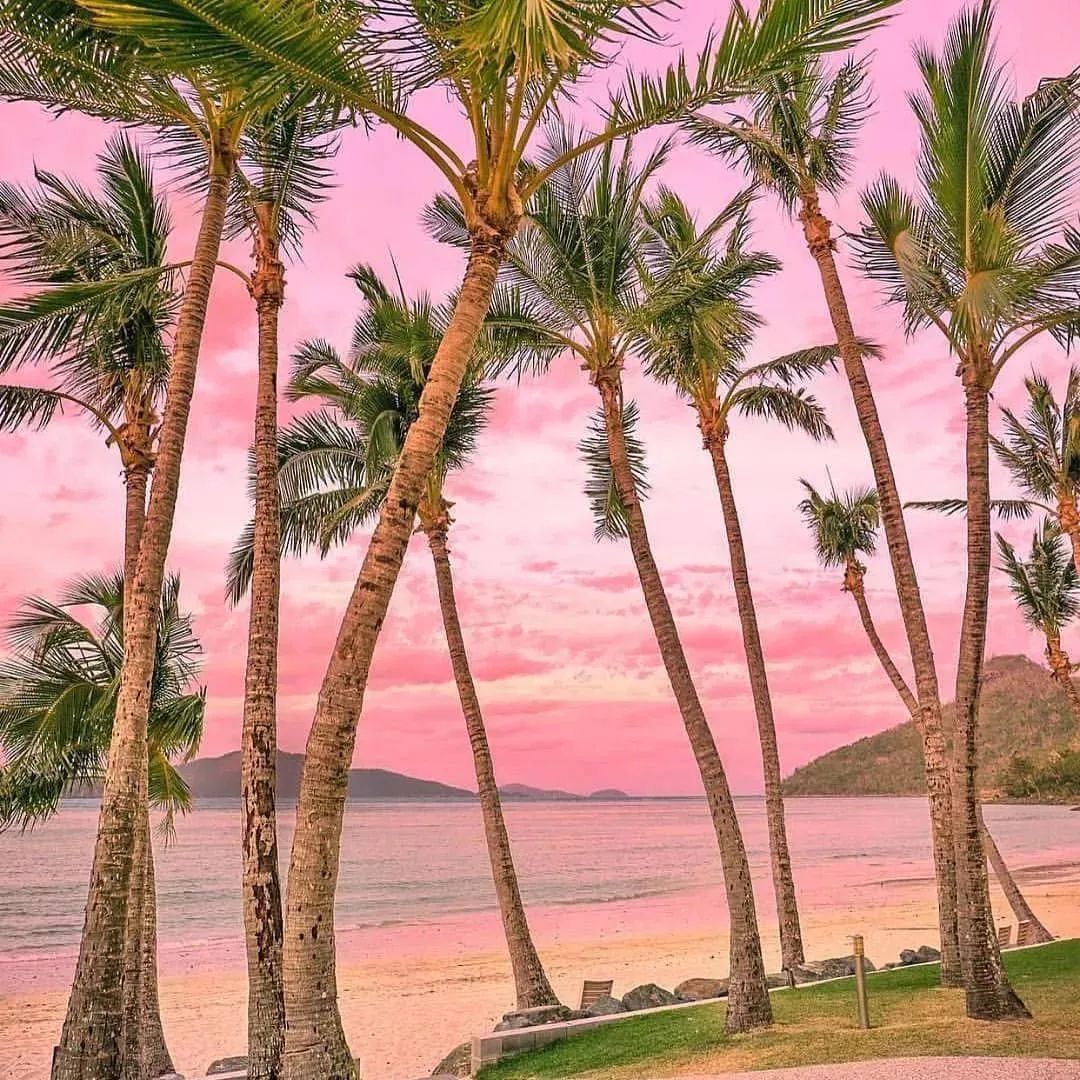 巴厘岛直飞1小时 印尼这一片粉色沙滩美炸了