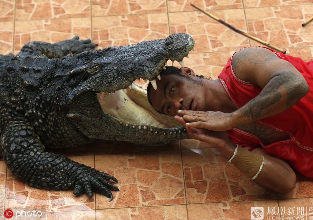 泰国猛男将头伸入鳄鱼口中图