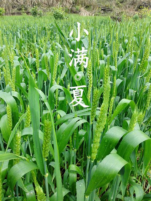 资料图