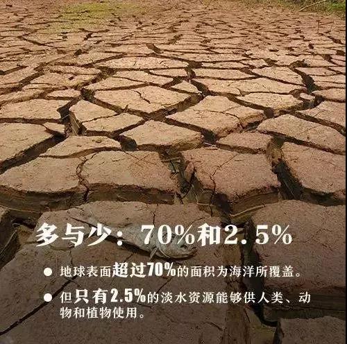 世界环境日除了喊口号我们还能做什么