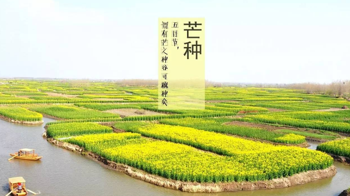 古诗词里的“芒种”知多少:其实远远不只这些