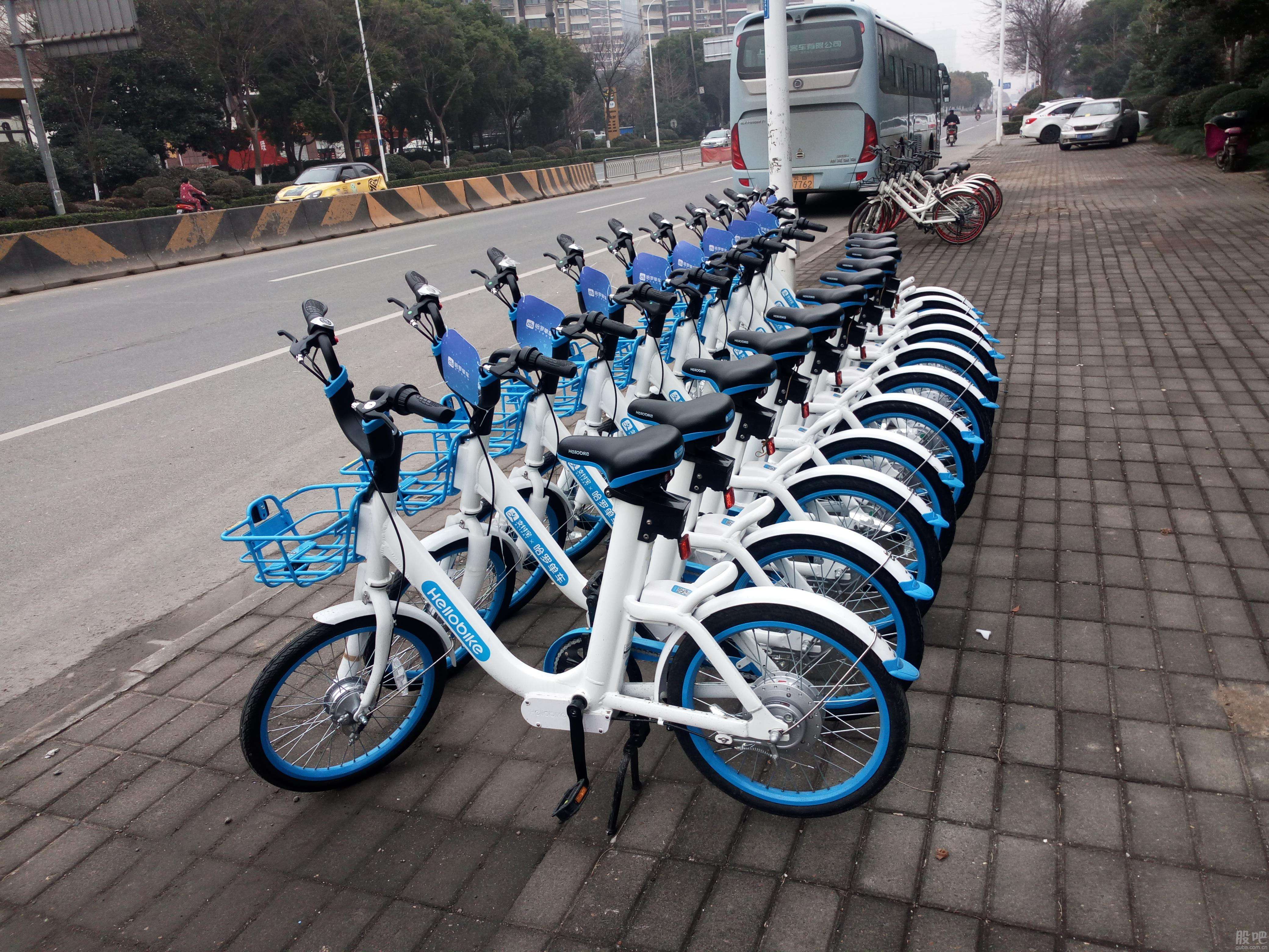 北京首条自行车“高速”正式开通，约骑吗 - 精选轮播图 - 新湖南