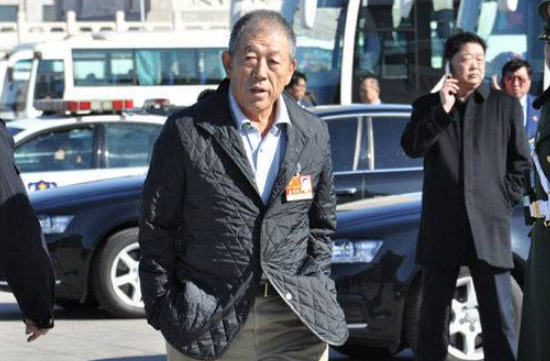 王震之子、中信原董事长王军低调亮相两会谈新疆_凤凰网