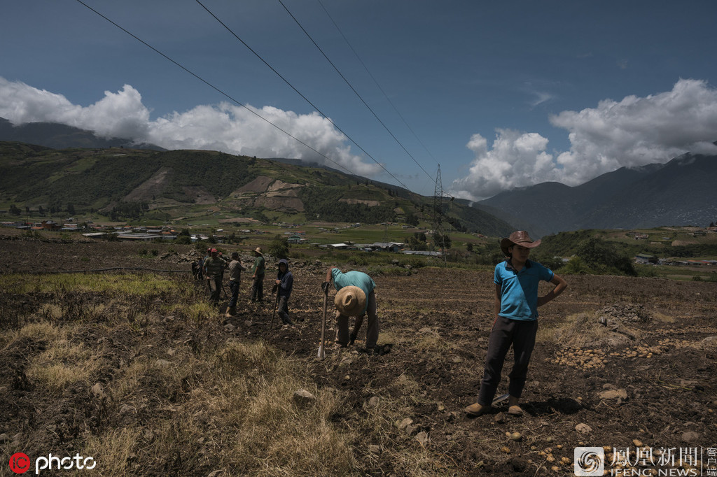委内瑞拉物资短缺 农业面临崩溃