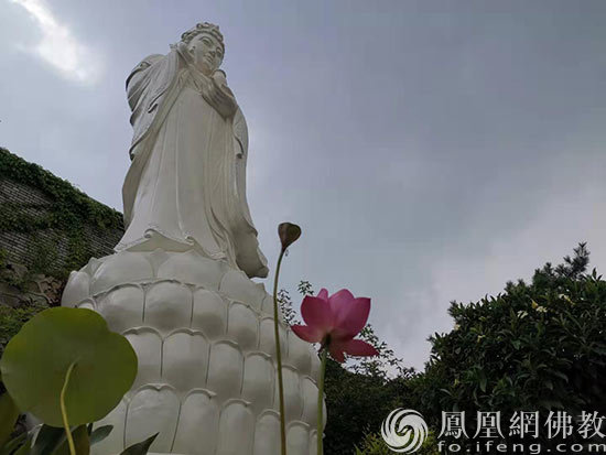 观音菩萨圣像(图片来源:凤凰网佛教 摄影:亲洁)