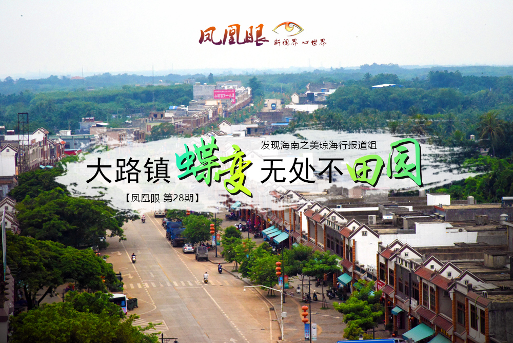 海南省琼海市大路镇是一个具有农耕文化的传统农业大镇.