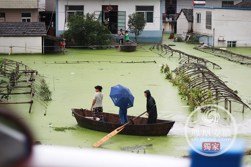 河北沙河市的人口和面积_河北邢台沙河市规划图(3)