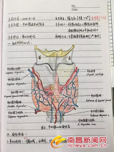 90后美女护士手术笔记走红 字迹工整解剖图手绘(图)(10/14)