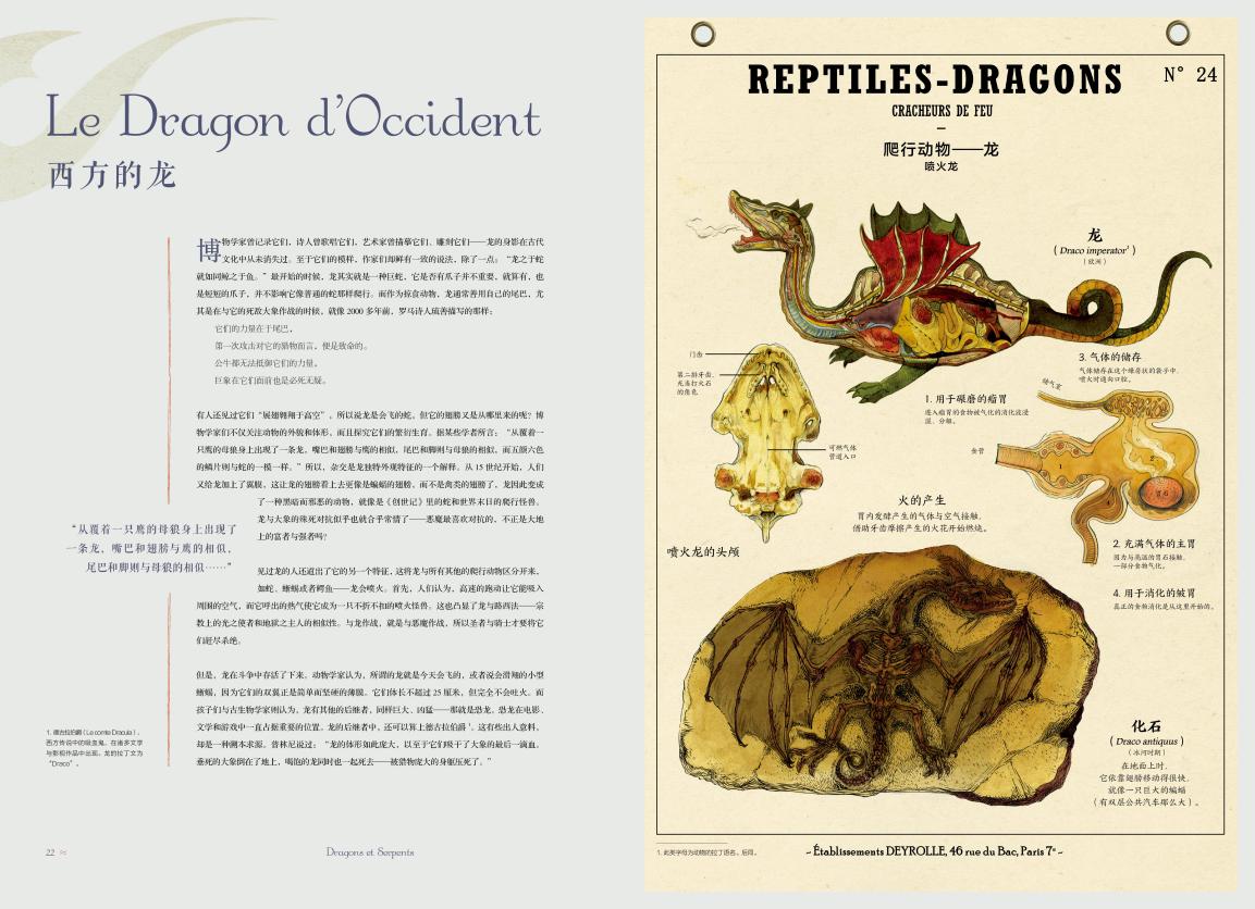 《博物学家的神秘动物图鉴》——关于神话动物的前世今生