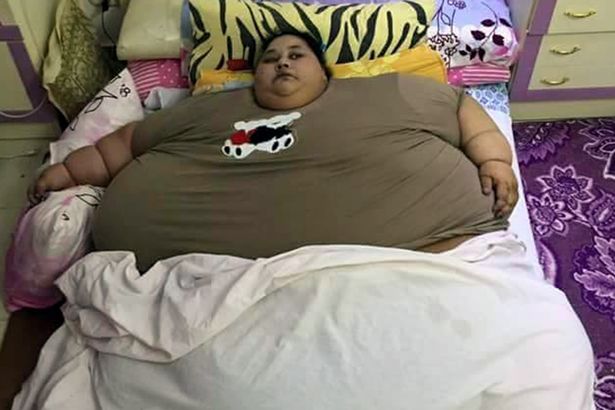 卡朋特最胖的照片图片
