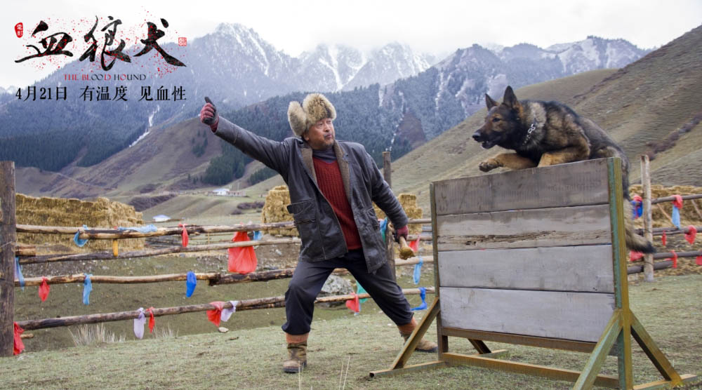 狂野西部上演人狗情缘《血狼犬》发布正式预告