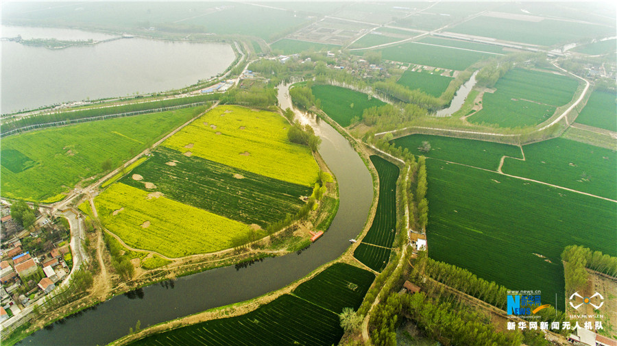 航拍河南滑县大运河畔春意浓