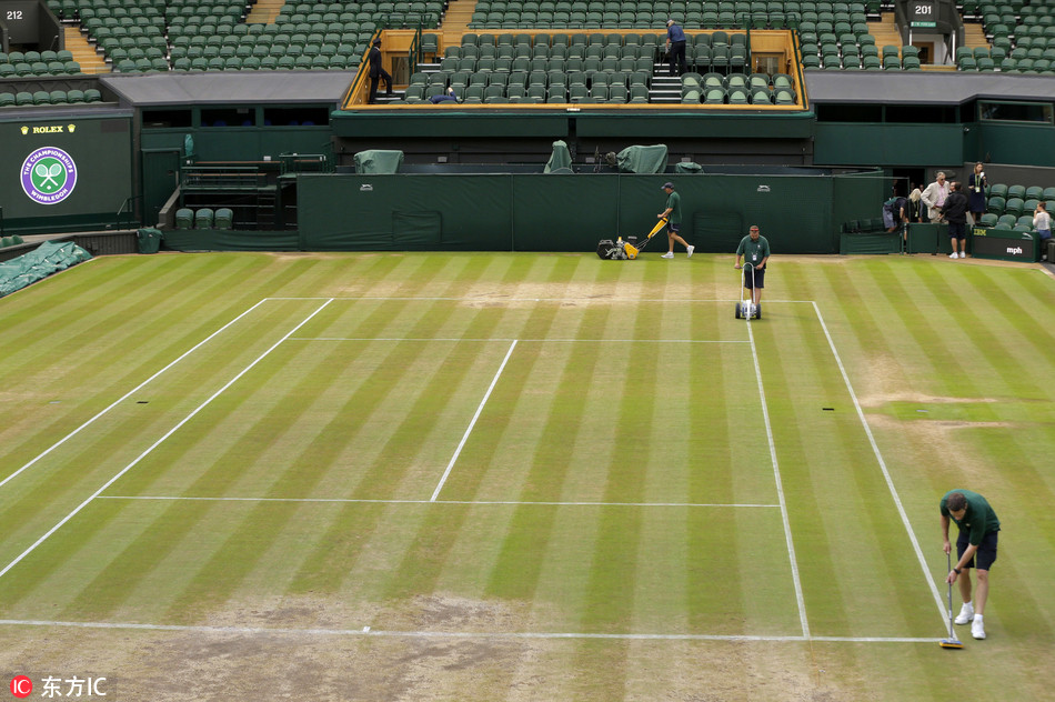 温网大幕落下 中央球场草地惨不忍睹