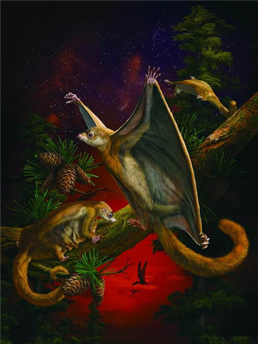 可以滑翔的远古哺乳动物