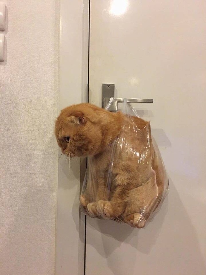 囧图我没有拖延症我只是懒得干正事