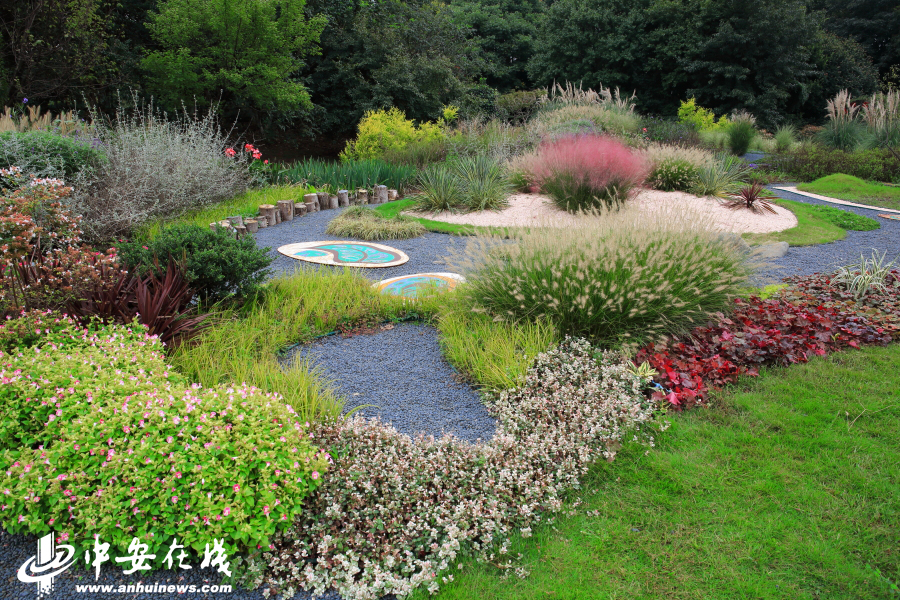8 最是繁花似锦处 合肥高颜值花展献礼国庆   富有热带风情的花圃设计