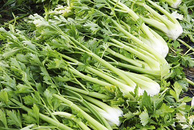 这道夫妻菜男女吃了都说好_凤凰健康