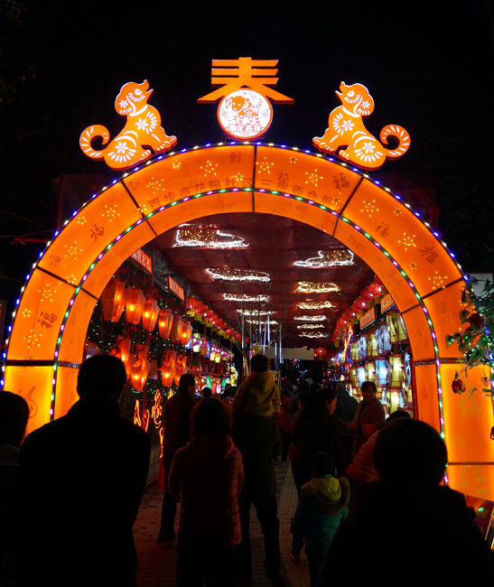 武汉百步亭居民巧手自制万盏花灯闹元宵